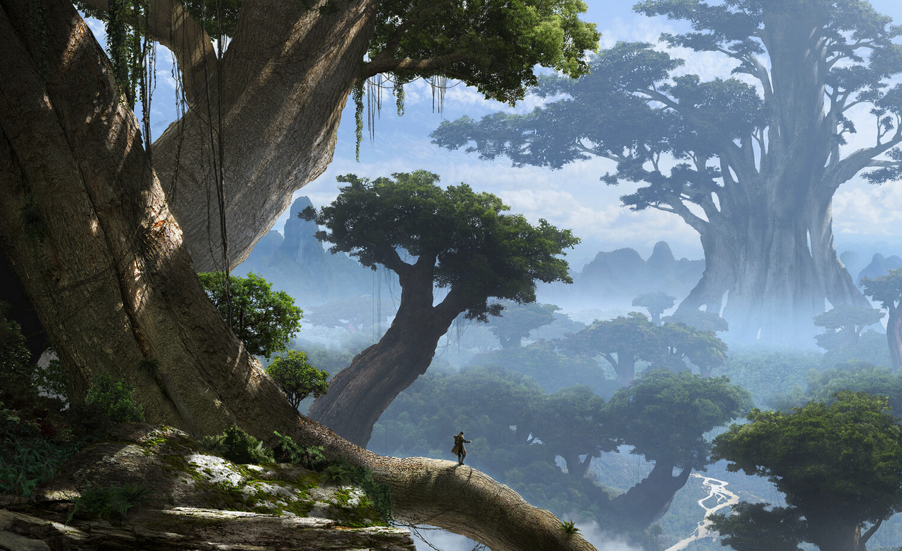 Kashyyyk