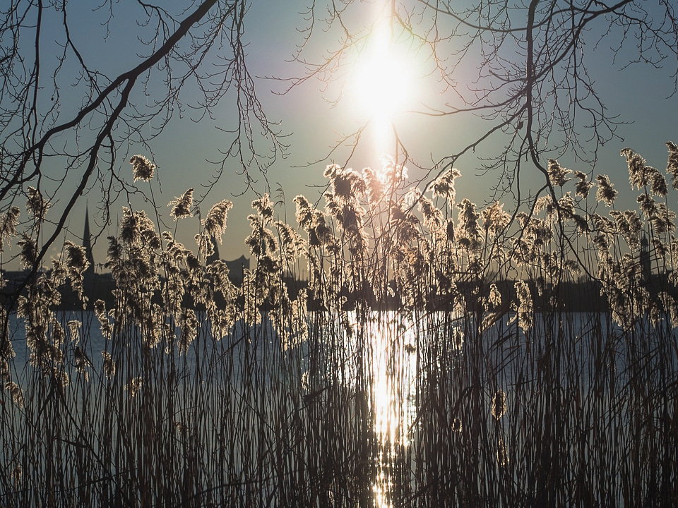 Alster_Abendsonne